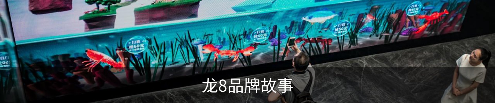 龙8品牌故事